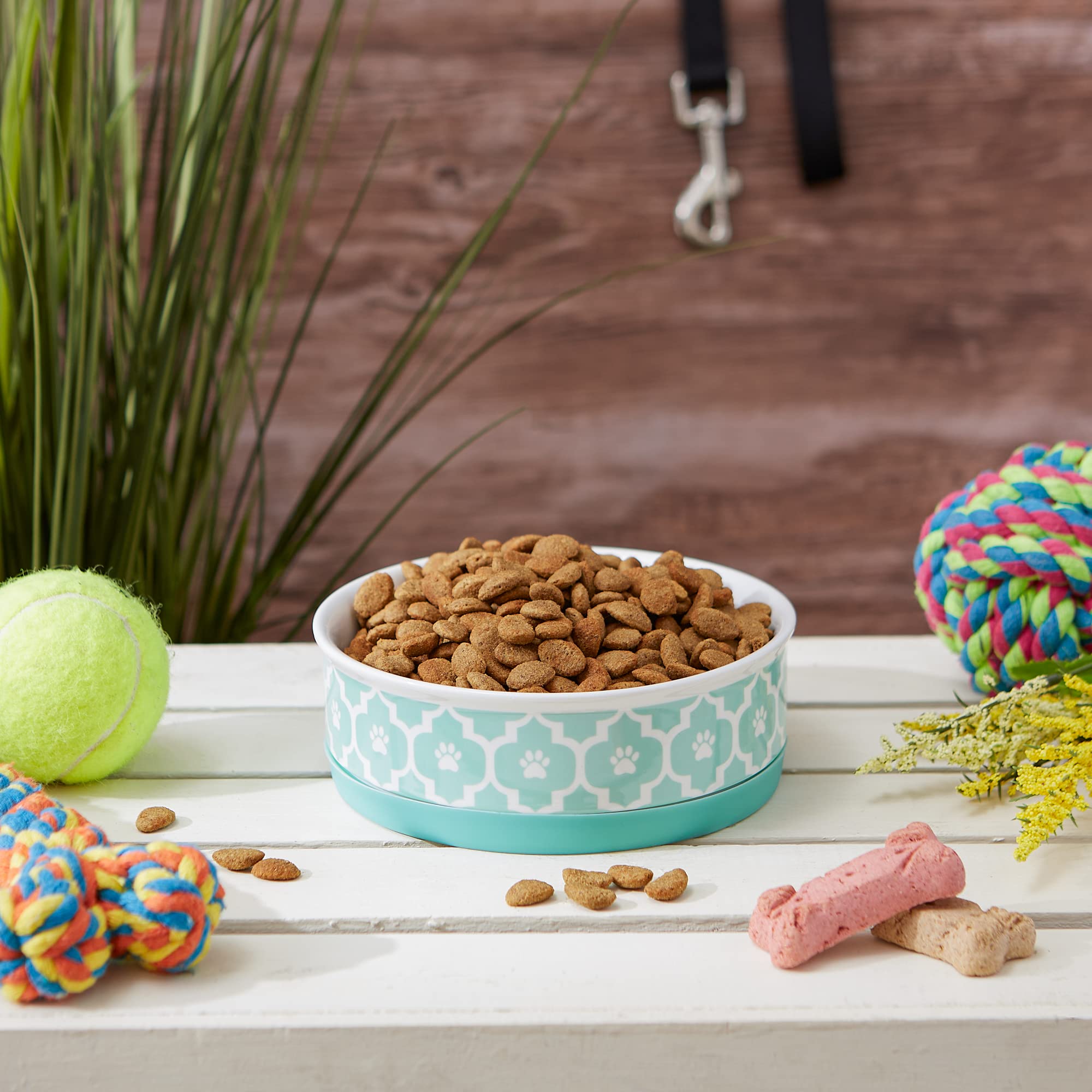 Bone Dry Lattice Collection Pet Bowl & Canister, Single Dish, Medium 6x2", Aqua - Image 5