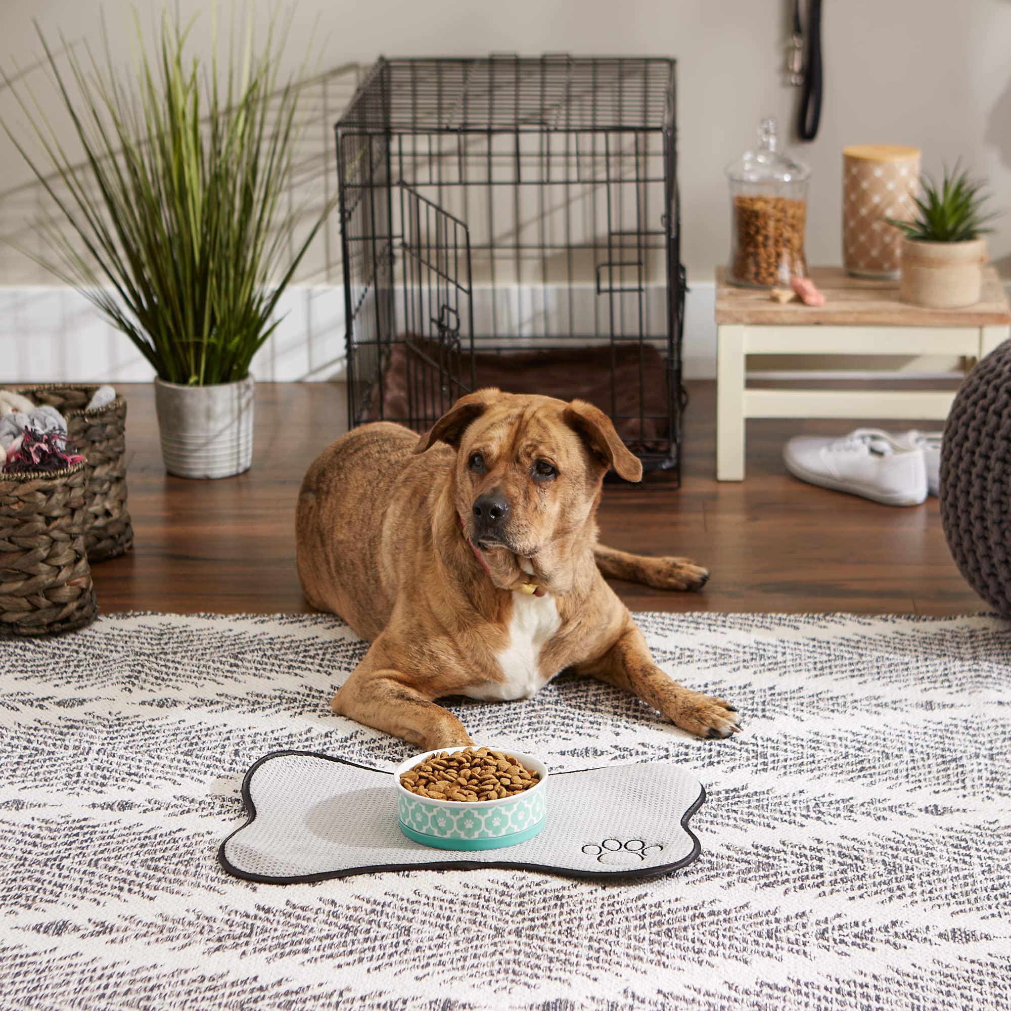 Bone Dry Lattice Collection Pet Bowl & Canister, Single Dish, Medium 6x2", Aqua - Image 6