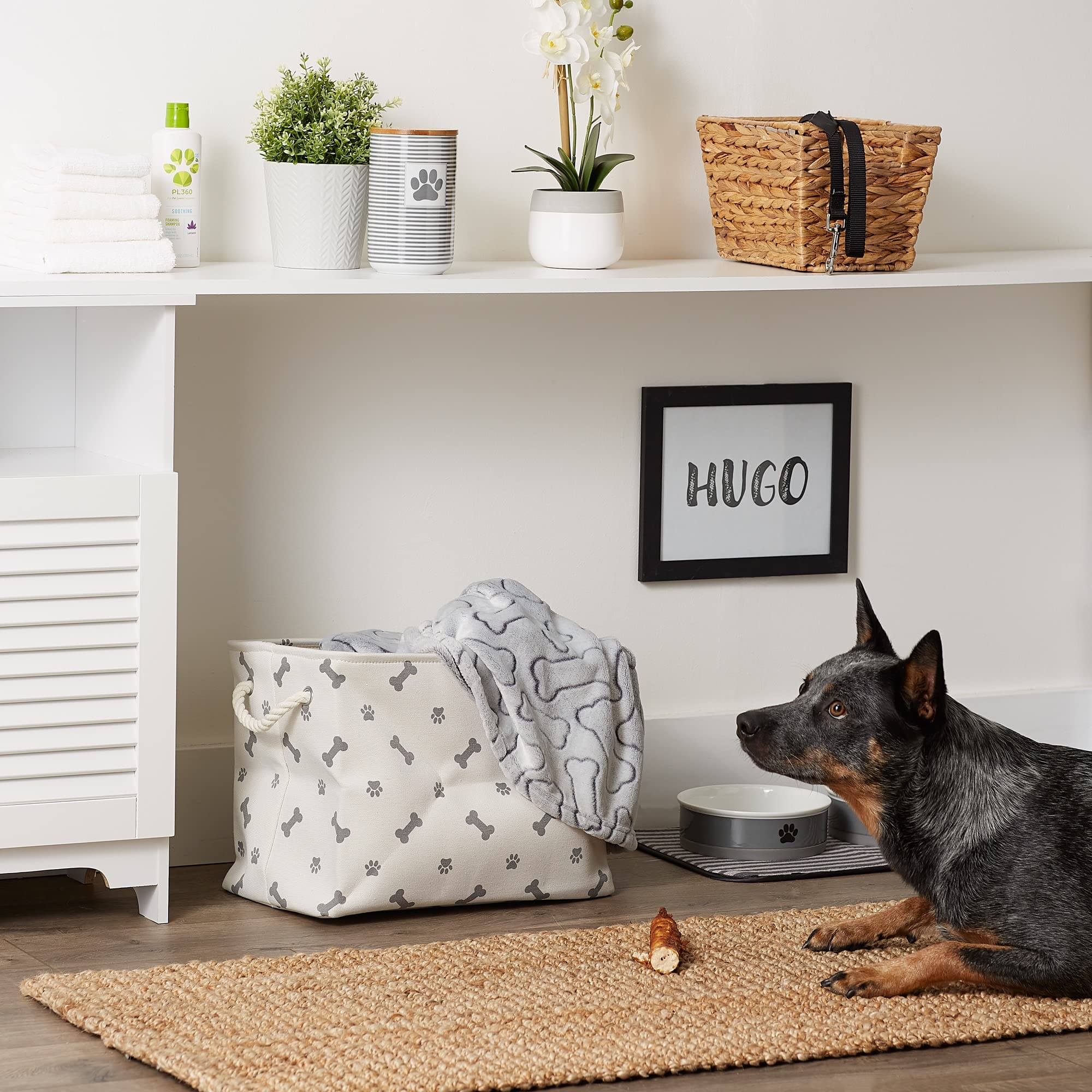 Bone Dry Pet Storage Collection Paw and Bone Print, Small Rectangle, 14x8x9, Gray - Image 6